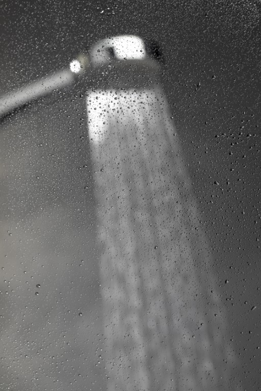 AquaZenith Flow Shower Filter